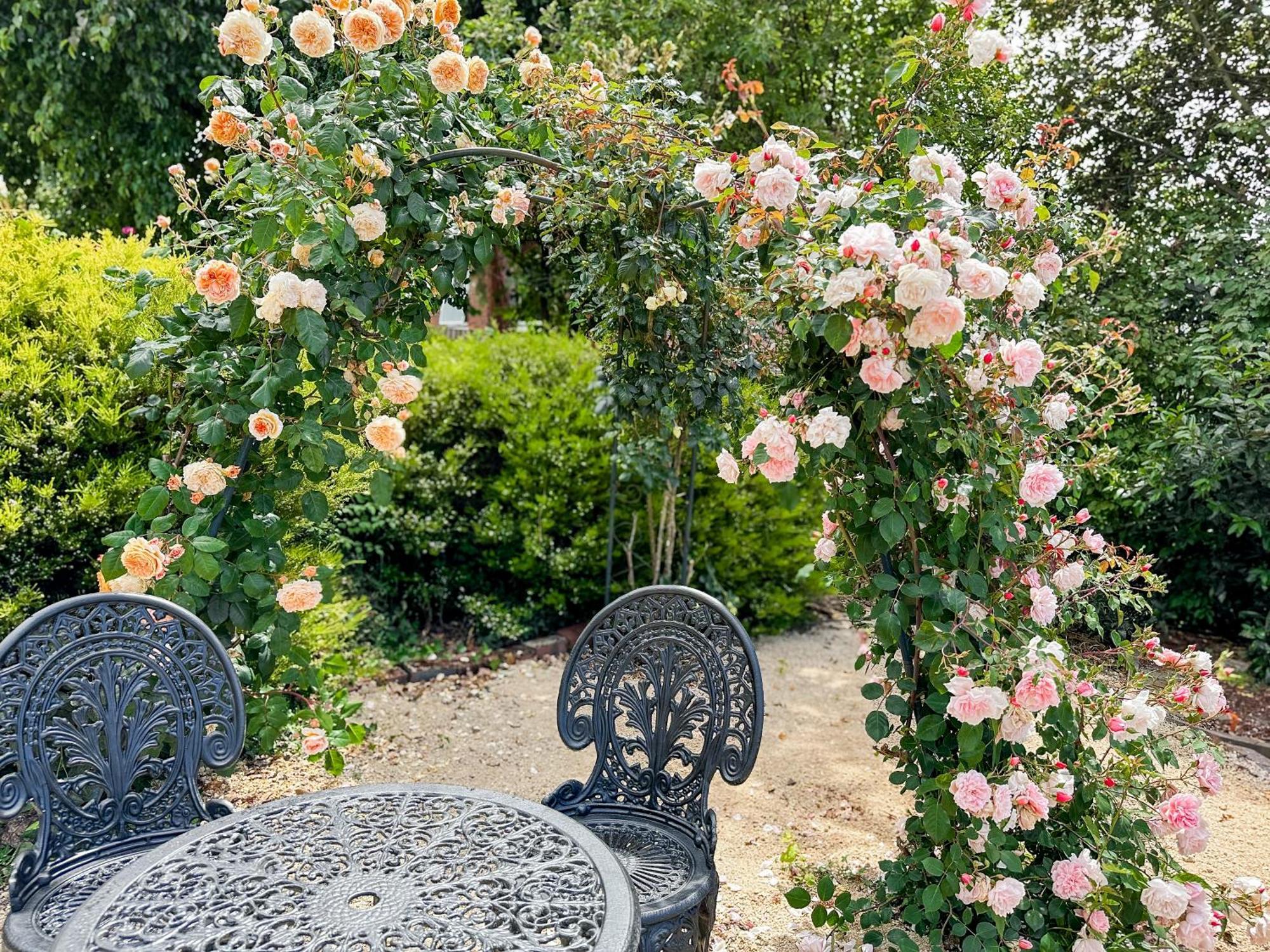 The Dragonfly Inn Launceston Bagian luar foto